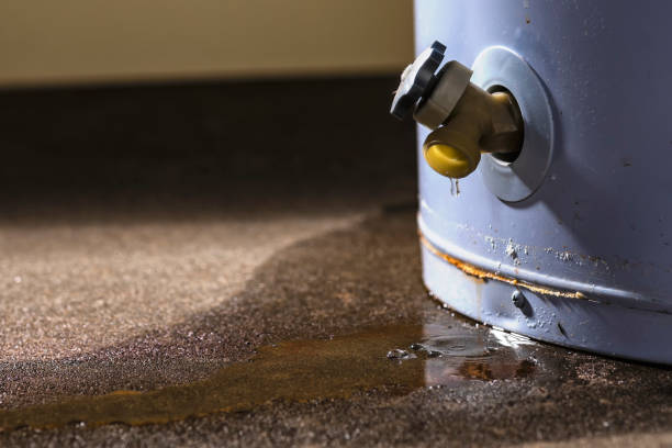 Best Water damage cleanup near me  in Bulverde, TX