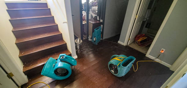 Best Basement water damage restoration  in Bulverde, TX