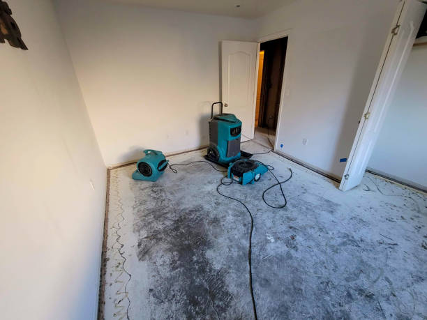 Water damage restoration mold remediation in TX