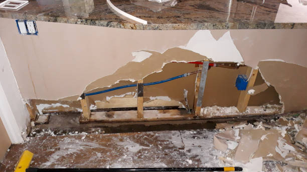 Best Local water damage restoration  in Bulverde, TX
