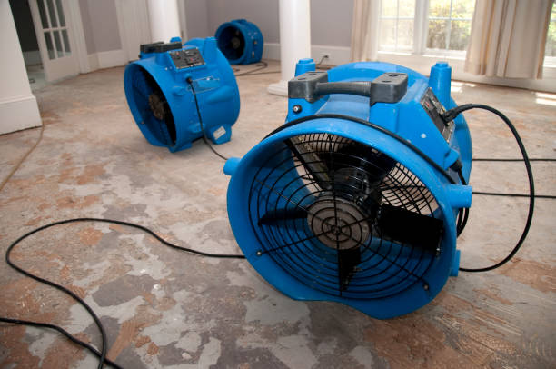 Best Water damage restoration insurance claims  in Bulverde, TX