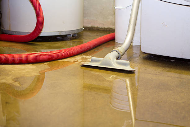  Bulverde, TX Water damage restoration Pros