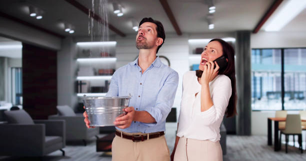 Best Ceiling water damage repair  in Bulverde, TX